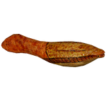 Arandaspis (Imago)