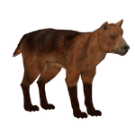 Dog Bear (Tamara Henson)
