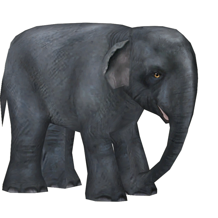 Elephantさま専用 latest?cb=20201130104222