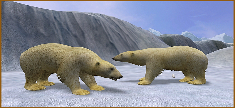 Polar Bear (Aurora Designs) | ZT2 Download Library Wiki | Fandom