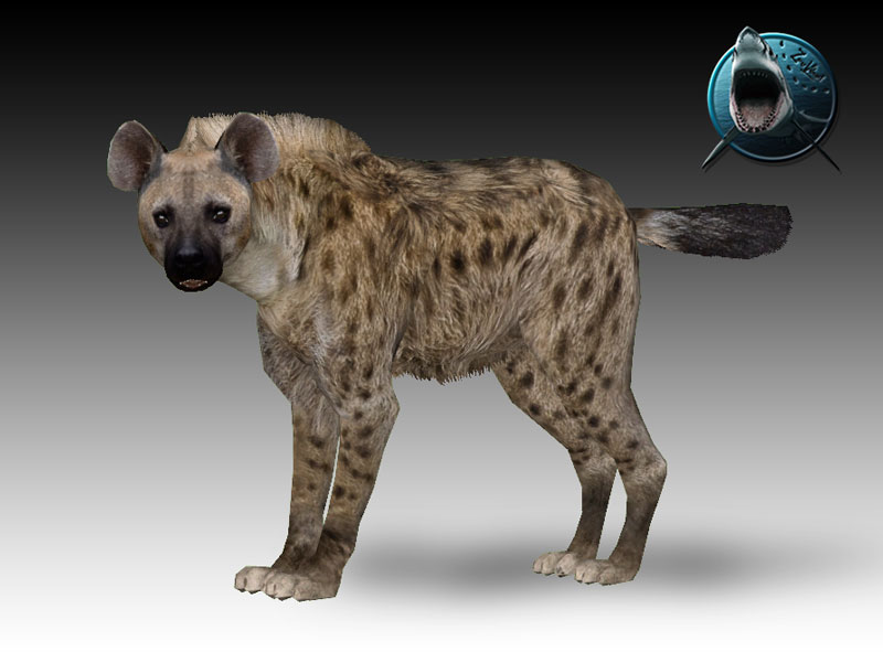 HYENA STATION  Hyena | Tokyo Jungle Wiki | Fandom
