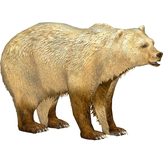 Gobi Bear (Whalebite) | ZT2 Download Library Wiki | Fandom