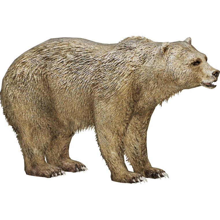 Grizzly Bear (JimmyzHoopz) | ZT2 Download Library Wiki | Fandom