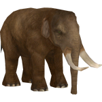 Naumann's Elephant (Colonel Swampert & Mjmannella)