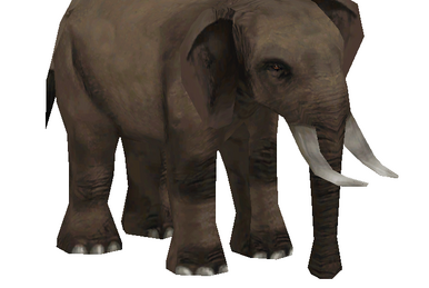 North African Elephant (JohnVM) | ZT2 Download Library Wiki