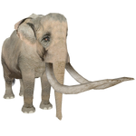 Southern Mammoth (Christina Aguilera)