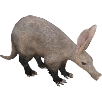 Mod release: Sivatherium remake : r/ZooTycoon