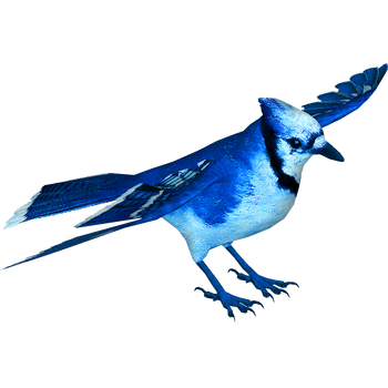 Blue Jay Variant (Echosoul)