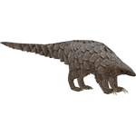 Giant Pangolin (Elephant)