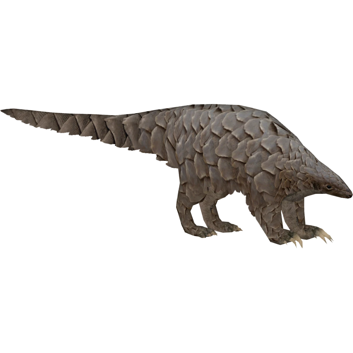 Giant Pangolin (Elephant) | ZT2 Download Library Wiki | Fandom