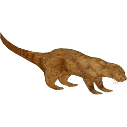 Category:Otters | ZT2 Download Library Wiki | Fandom