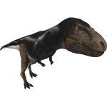 Tyrannosaurus (Bill)