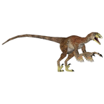 Variraptor (JohnVM & oO-VND-Oo)