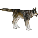 Dire Wolf (VuxZanpire)