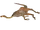 Gallimimus Carcass (Tyranachu)