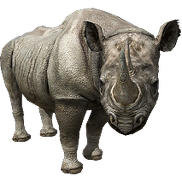 当店在庫してます！ Black Rhinoceros (Aurora Designs) | ZT2 Download Library 洋楽