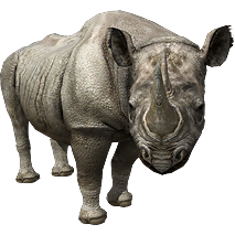 Category:Rhinos | ZT2 Download Library Wiki | Fandom