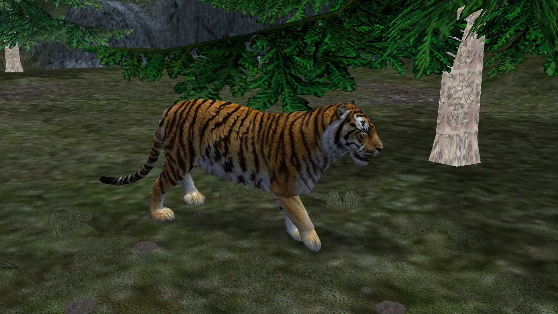 Siberian Tiger (Aurora Designs) | ZT2 Download Library Wiki | Fandom