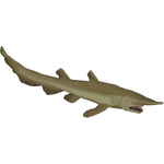 Scapanorhynchus (Bunyupy)