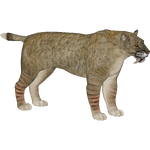 Smilodon fatalis (Tyranachu)