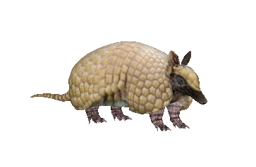 リノ B2タペストリー Armadillo 会場先行】「Re:ゼロから始める異世界生活」B2タペストリー 小
