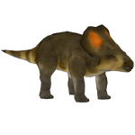 Protoceratops (Bunyupy)