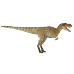 Albertosaurus (Philly)