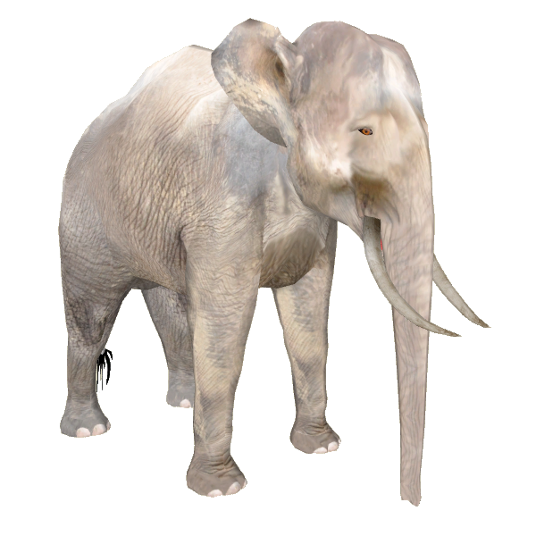 Borneo Pygmy Elephant (Christina Aguilera) | ZT2 Download Library