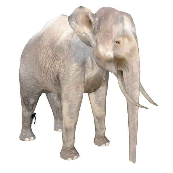 Borneo Pygmy Elephant (Christina Aguilera) ZT2 Download Library Wiki