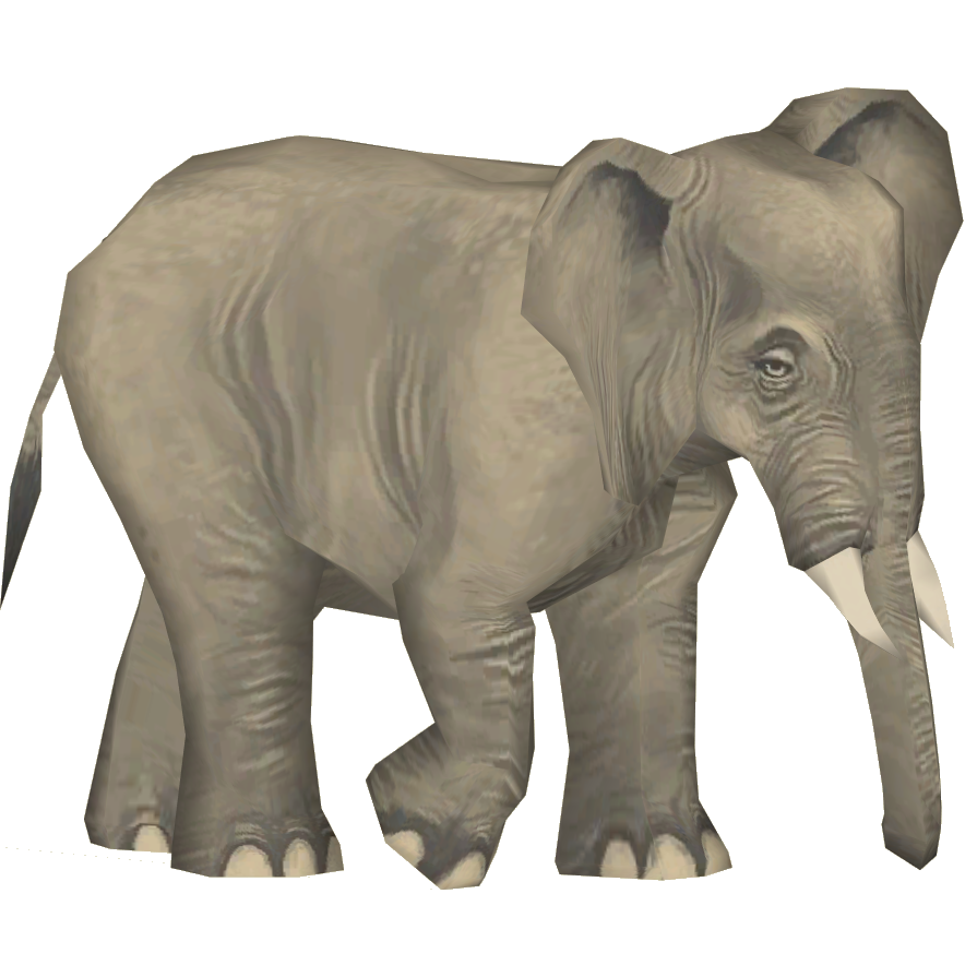 その他 Elephant brand Zuny | Official Website | Proudct