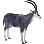 Bluebuck (Tamara Henson) (506 KB) Bluebuck (Tamara Henson)