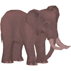 Category:Elephants | ZT2 Download Library Wiki | Fandom