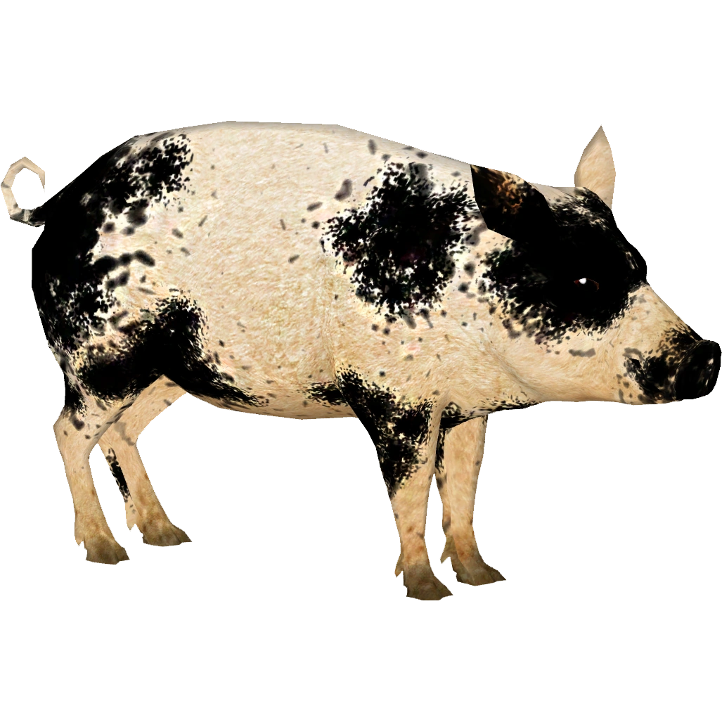 Domestic Pig (Tyranachu) | ZT2 Download Library Wiki | Fandom