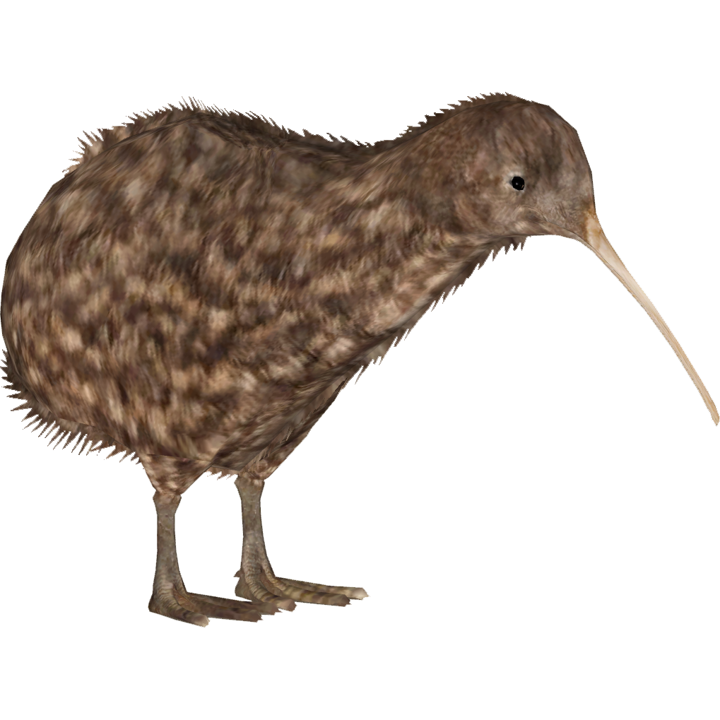 Great Spotted Kiwi (Tamara Henson) | ZT2 Download Library Wiki | Fandom Great Spotted Kiwi (Tamara Henson) | ZT2 Download Library Wiki | Fandom