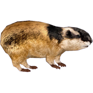 Lemming - Wikipedia