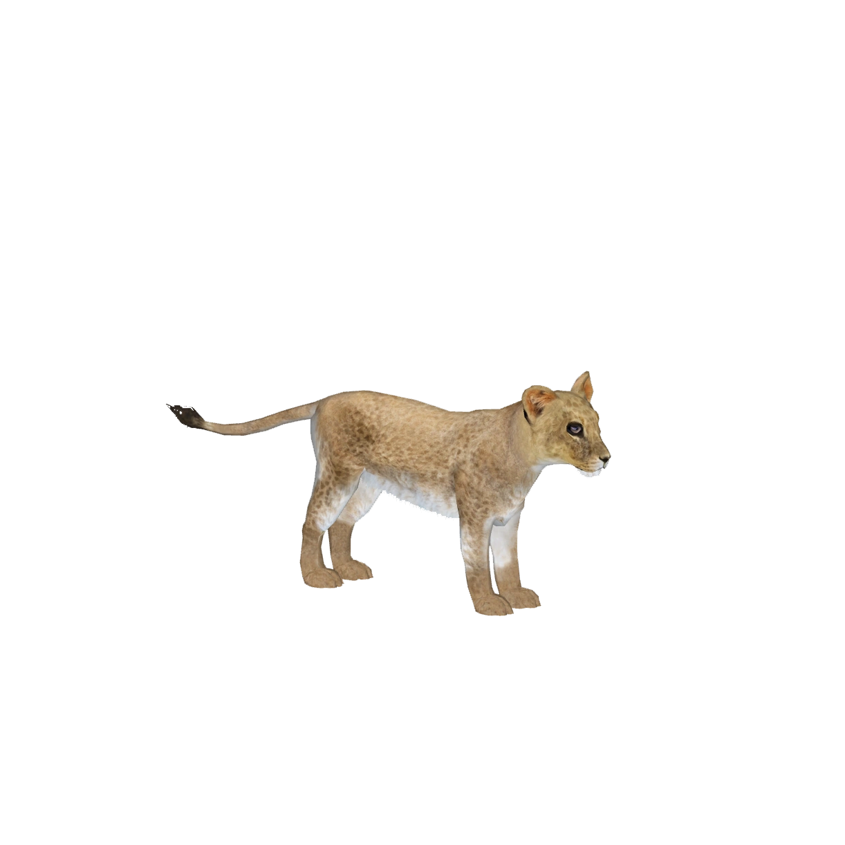 Lion (Blue Fang) | ZT2 Download Library Wiki | Fandom