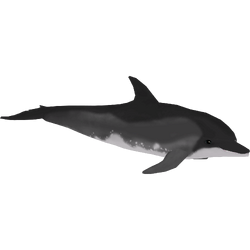 Category:Oceanic Dolphins | ZT2 Download Library Wiki | Fandom