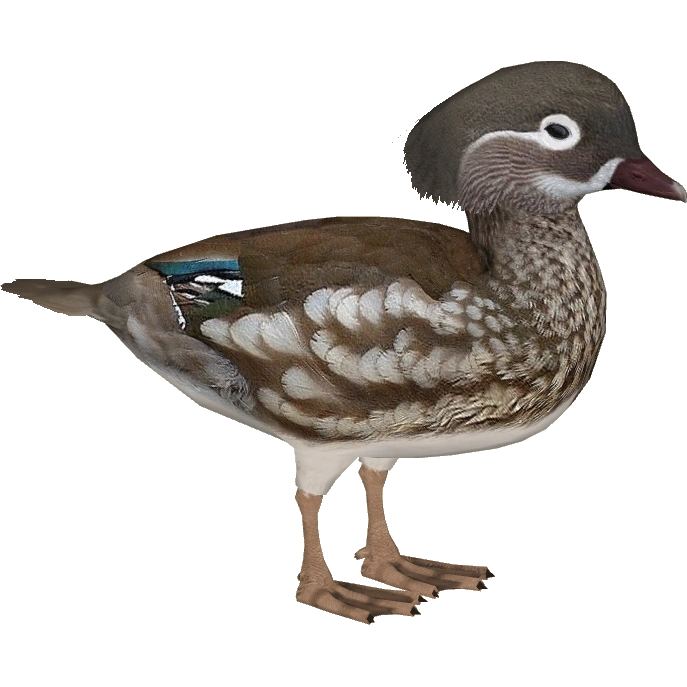 latest?cb=20150831141858