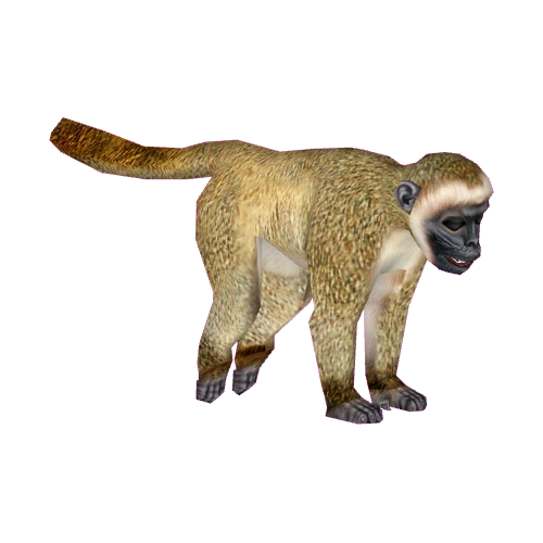 Vervet Monkey (Tamara Henson) | ZT2 Download Library Wiki | Fandom