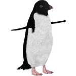 Adelie Penguin (Demon Hunter)