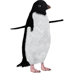 Category:Polar Ice Animals | ZT2 Download Library Wiki | Fandom