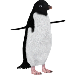 Category:Polar Ice Animals | ZT2 Download Library Wiki | Fandom Category:Polar Ice Animals | ZT2 Download Library Wiki | Fandom