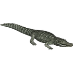 Deinosuchus (Lgcfm & Ulquiorra)