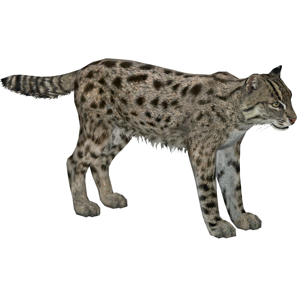 Fishing Cat (Lgcfm) | ZT2 Download Library Wiki | Fandom