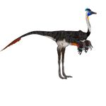 Struthiomimus (Ulquiorra)