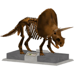 Fossil Displays (The Restorers)