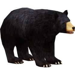 Category:Bears | ZT2 Download Library Wiki | Fandom