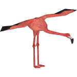 American Flamingo (NanoLancensis) (278 KB) American Flamingo (NanoLancensis)