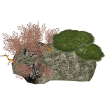 Animated Coral Reef 2 (Zerosvalmont)
