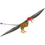 Rhamphorhynchus (Samuel)